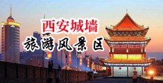 精品逼特逼中国陕西-西安城墙旅游风景区