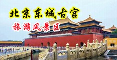 免费看男人操女人中国北京-东城古宫旅游风景区