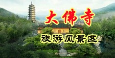 漏出嫩逼勾引修水管小伙用大鸡巴操我中国浙江-新昌大佛寺旅游风景区